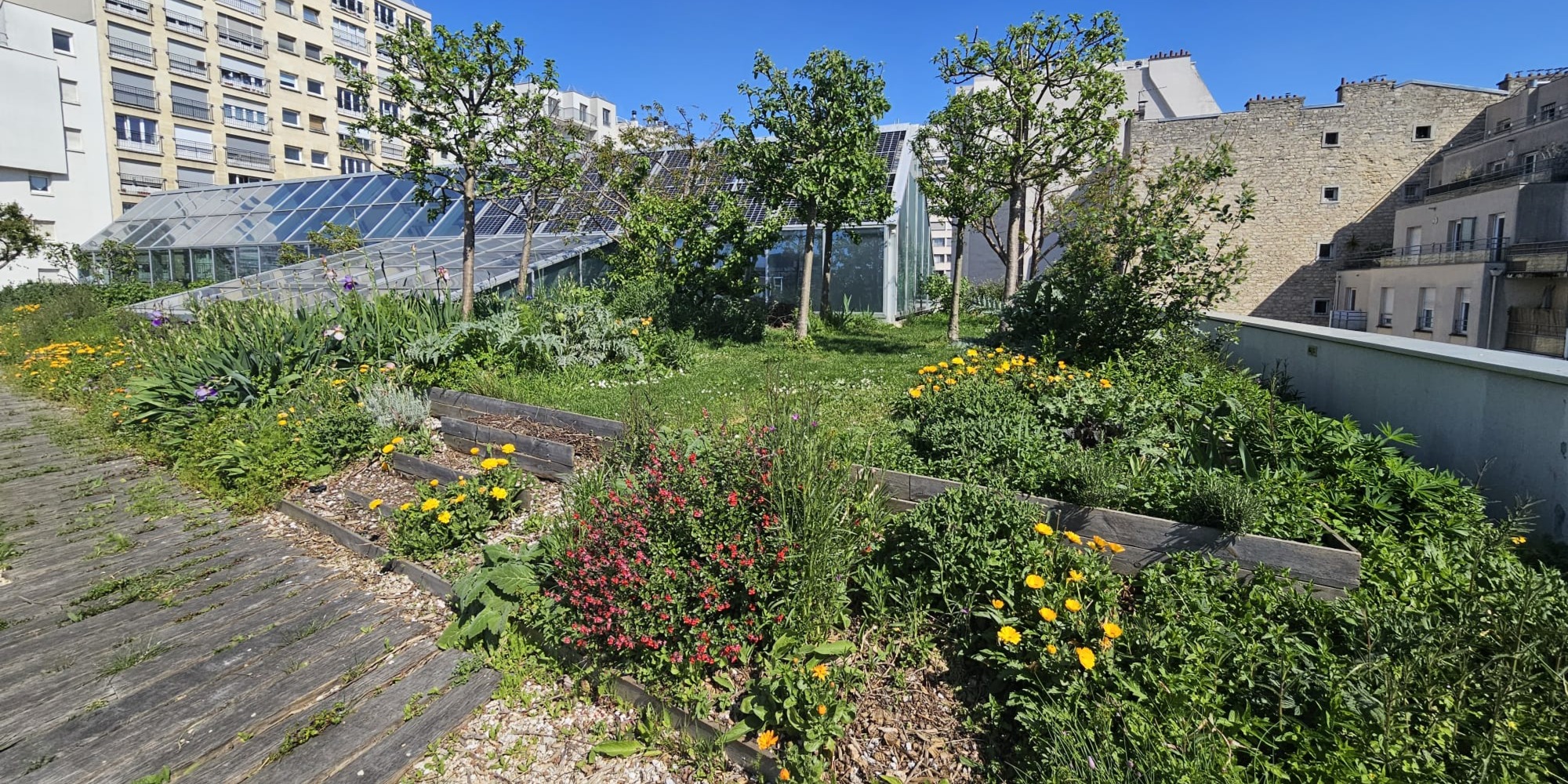 Jardinez sur un toit d'entreprise haut en couleur (20ème)