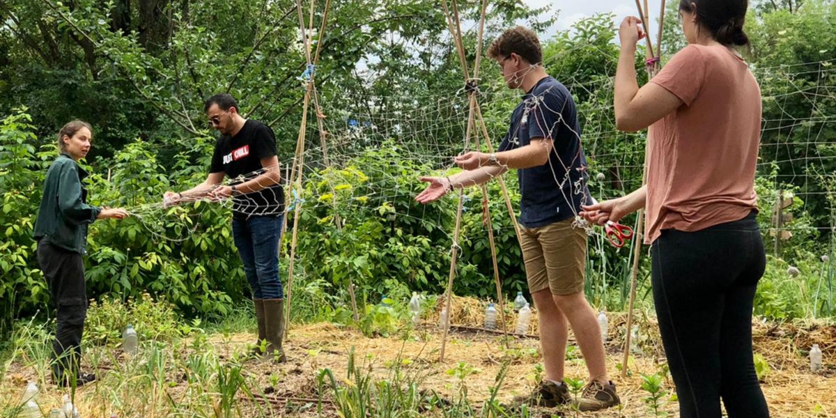 Jardinez à la micro-ferme urbaine du collège !